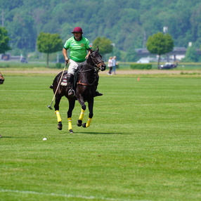 Polo Cup 21. Mai 2023