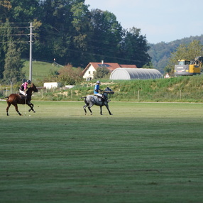 Sugar Beet Fun Cup September 2023