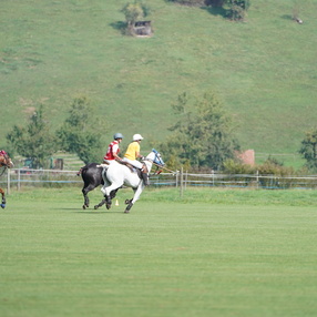 Swiss Roots Championship 16.09. und 17.09.2023
